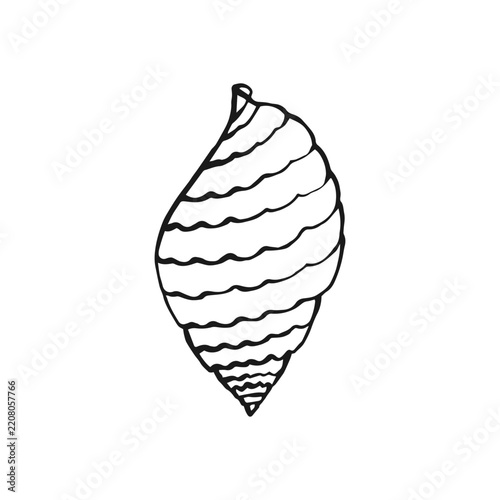 Seashell. Hand drawn vector illustration.