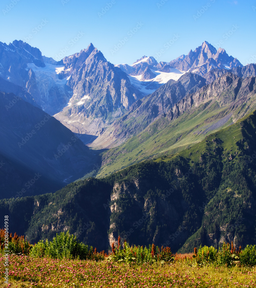 Obraz premium Colorful summer view of alpine meadows at the foot of Tetnuldi peak. Georgia, Europe. Boutdoors scene of Caucasus mountains.