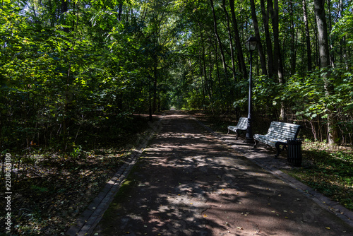 Photography Park path lined with wooden benches, a street lantern, and trash bin