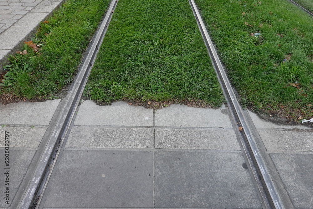 Obraz premium Rails de tramway encastrés dans une plateforme en gazon et en pavés