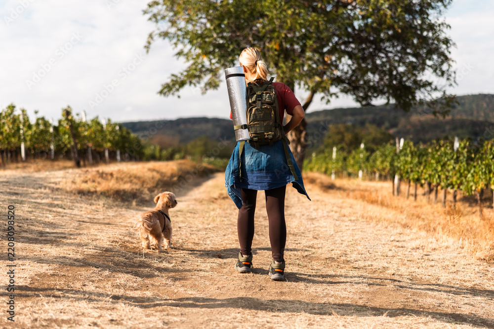 Obraz premium Woman hiking with dog through vineyard on sunny day