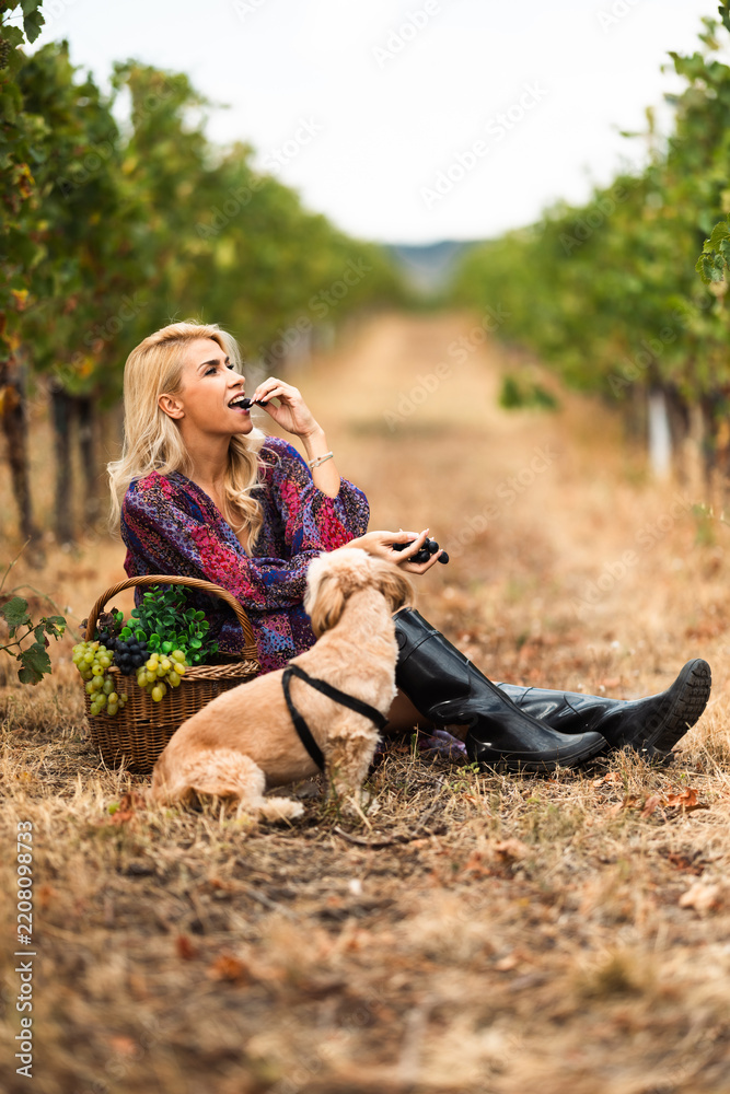 Obraz premium Woman enjoying grapes with dog in vineyard during harvest season