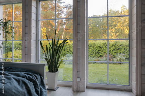 Horizontal bedroom interior with big windows, indoor plant, bed, green garden, warm autumn trees, natural sunlight, cozy modern bedroom, white, gray, green, orange tones, peaceful home lifestyle view