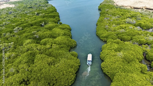 Aerial of the Mangrove forest, Farasan islands, Kingdom of Saudi Arabia