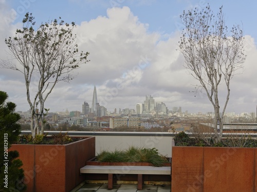 Rooftop terrace garden with London skyline and The Shard in the distance