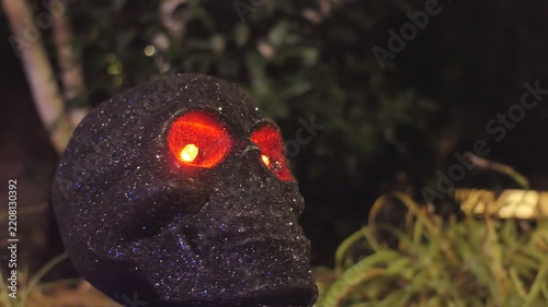 Glowing Eye Halloween Black Skull Decoration in Night Garden
