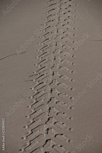 Long straight tire track in wet beach sand
