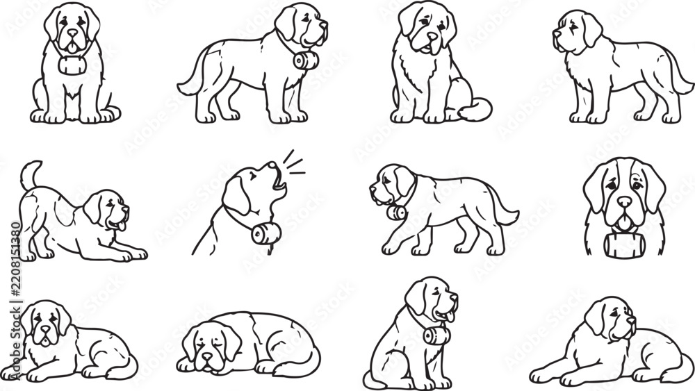 Obraz premium Saint Bernard dog breed outline icons set in various poses