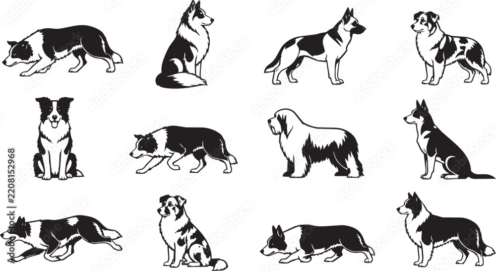 Obraz premium Set of black and white dog silhouettes in poses