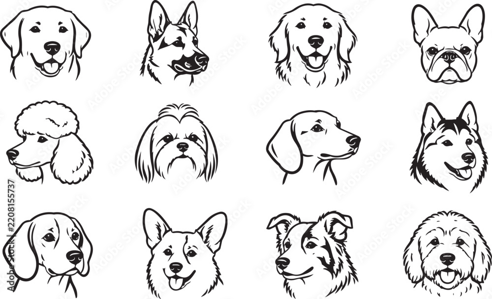 Fototapeta premium Set of diverse dog breed head portraits black line art