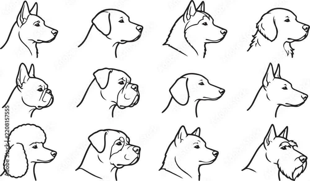 Fototapeta premium Set of hand drawn dog breed head profile icons