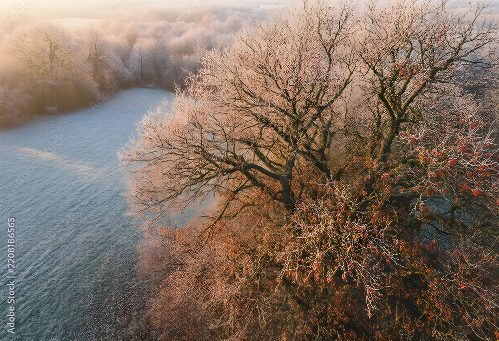 Obraz premium Winter landscape with frost covered trees, seasonal change and climate transition, cold morning sunlight over a frozen meadow in the countryside