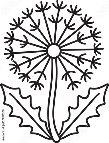 Dandelion flower line art illustration, vector drawing of a dandelion seed head with leaves