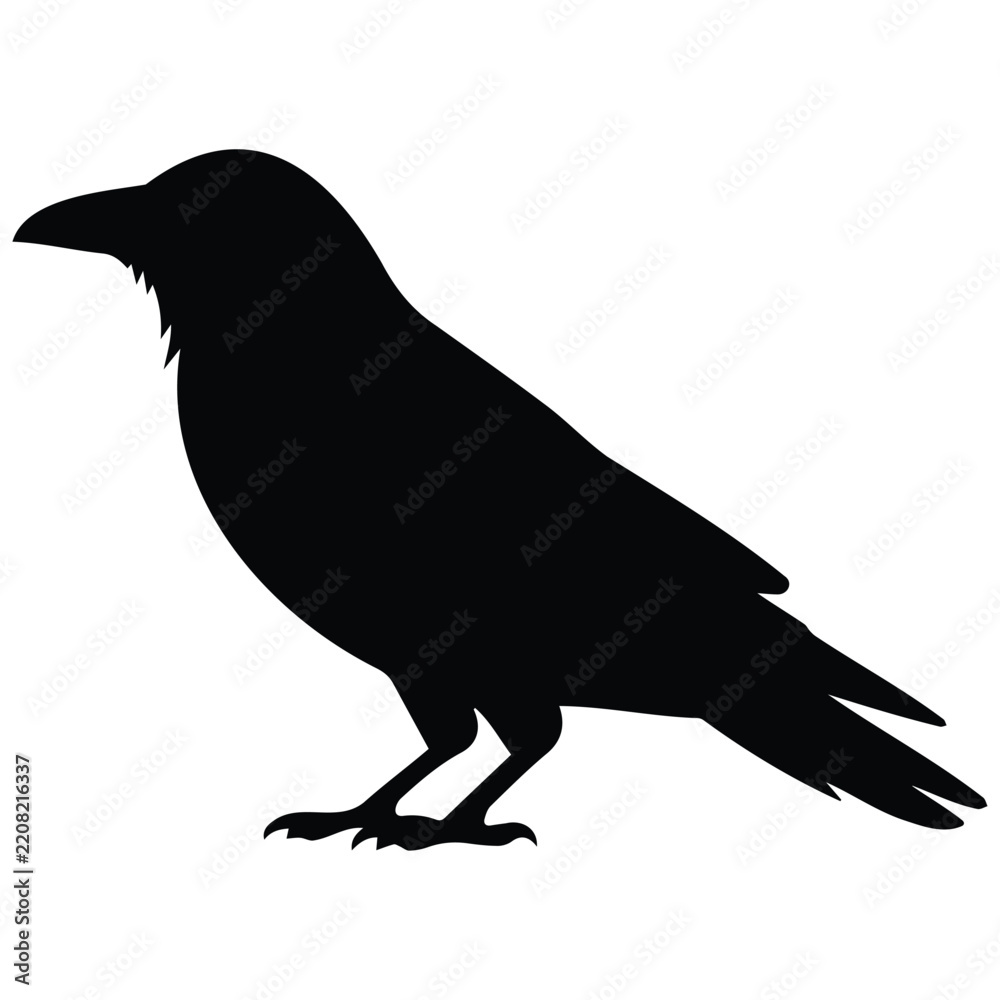 Obraz premium Minimalist crow silhouette vector illustration for halloween and dark nature design work.