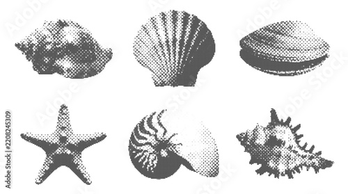 Seashells collection various types starfish scallop nautilus conch clam retro halftone dot texture illustration design element