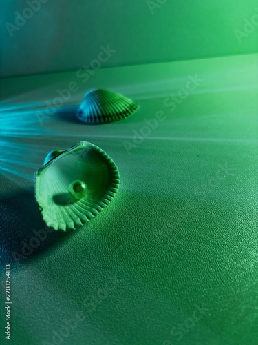 Seashell with pearl and second shell in green turquoise light with copy space