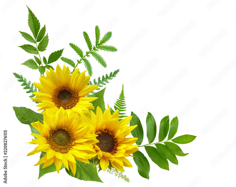 Obraz premium bouquet of blooming sunflowers isolated on transparent background, top view