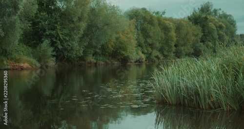 Wide static view of a calm river surrounded by lush green trees and tall reeds on a peaceful summer day. Quiet natural landscape with still water and dense vegetation along the shore. High quality 4k