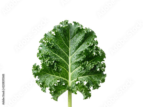 Fresh green kale leaf with water droplets isolated on transparent background