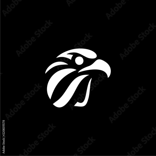 eagle head vector illustration