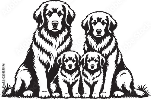 Fluffy Long Haired Dog Black and White Vector Silhouette Illustration