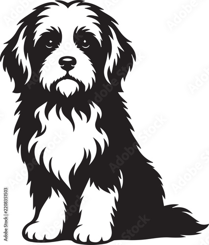 Fluffy Long Haired Dog Black and White Vector Silhouette Illustration