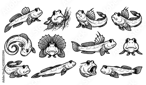 Mudskipper fish behavioral poses hand drawn black outline vector sketch set