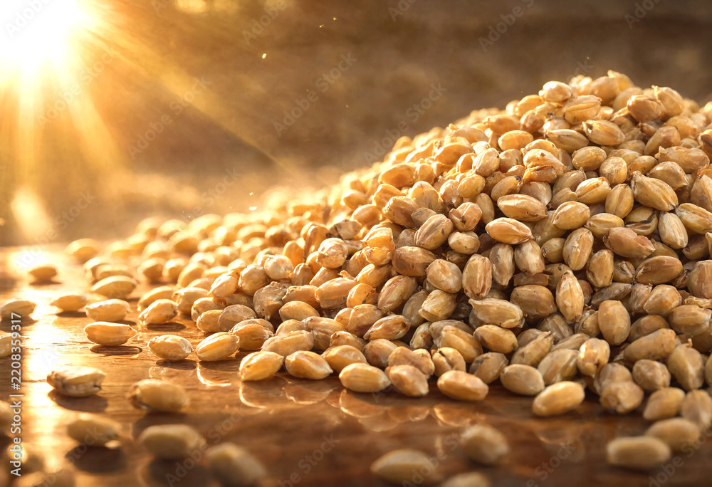 Obraz premium Golden wheat grains piled under warm sunlight natural lighting
