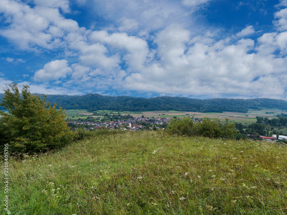 Fototapeta premium Die Stadt Bohlingen im Hegau, eingebettet in die Halbinsel Höri am Bodensee, gesehen von den grünen Hängen des Galgenbergs im Norden. Am Horizon das Schiener Berg. 