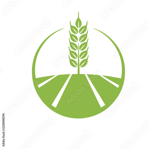 Wheat stalk and field icon
