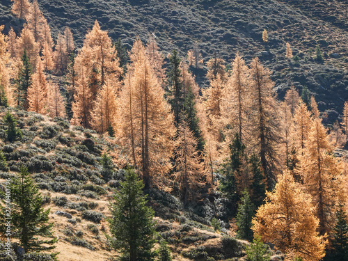 Herbstwanderung am Hirzer in Südtirol