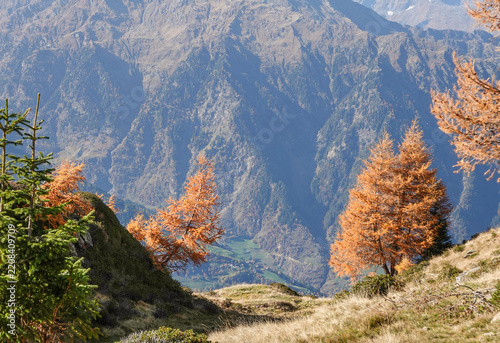 Herbstwanderung am Hirzer in Südtirol