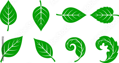 A vibrant collection of green leaf icons showcasing diverse shapes and botanical details for design