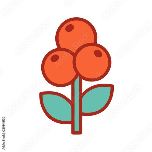 Stylized plant with three orange berries and teal leaves