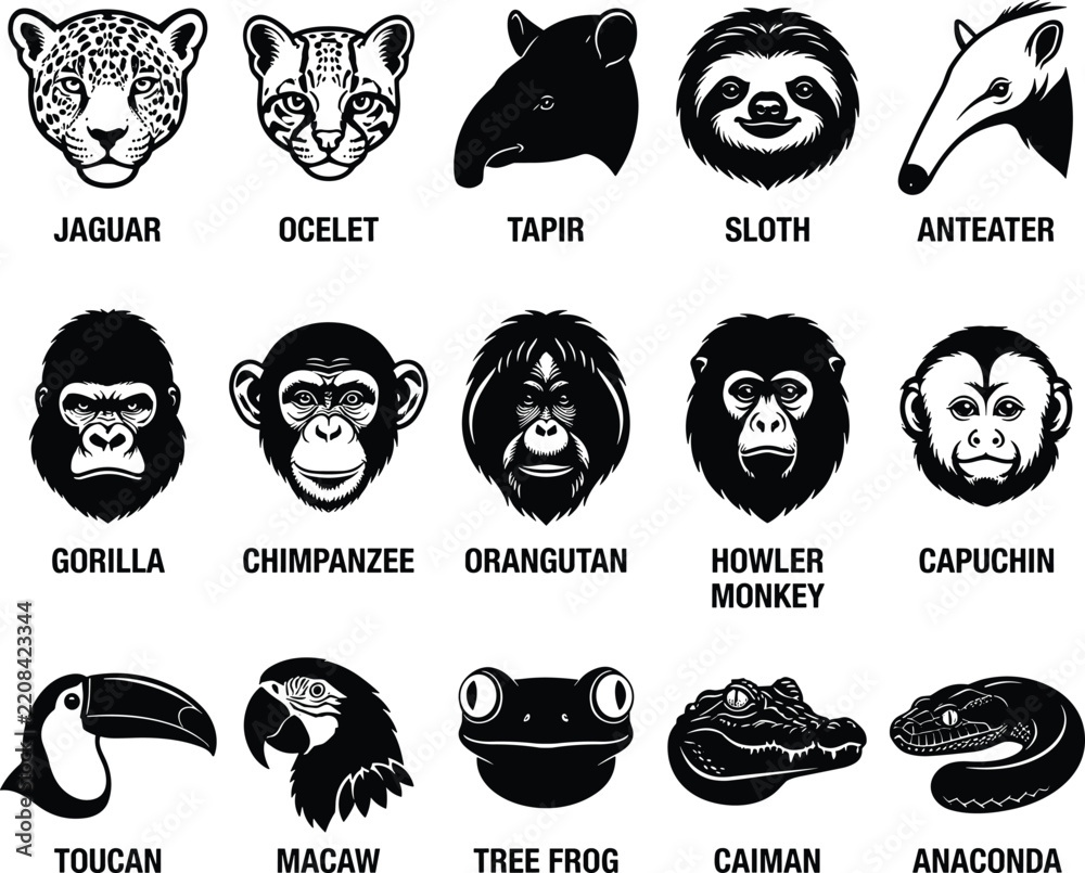 Fototapeta premium Rainforest Wildlife Animal Vector Head Silhouettes Set with Names for Educational and Graphic Design 