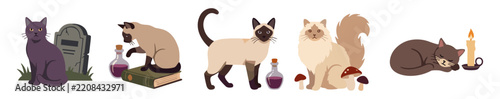 Halloween mystical cats vector set, black cat by gravestone, siamese cat with potion book, fluffy cat with mushrooms and sleeping kitten with candle on transparent background