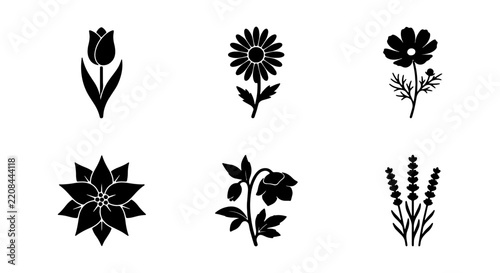 Six distinct floral silhouettes are presented against a clean white background, showcasing varied botanical forms.