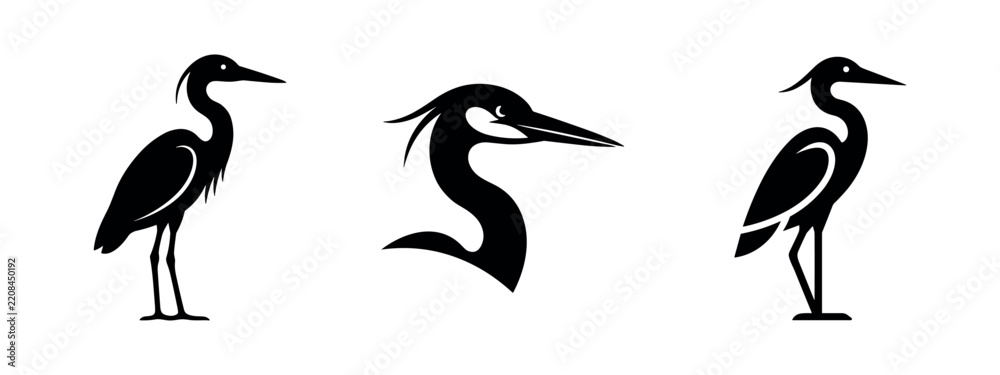 Obraz premium Heron bird silhouette set. Ardeidae family icon. Marsh bird, waterfowl vector illustration with different views.