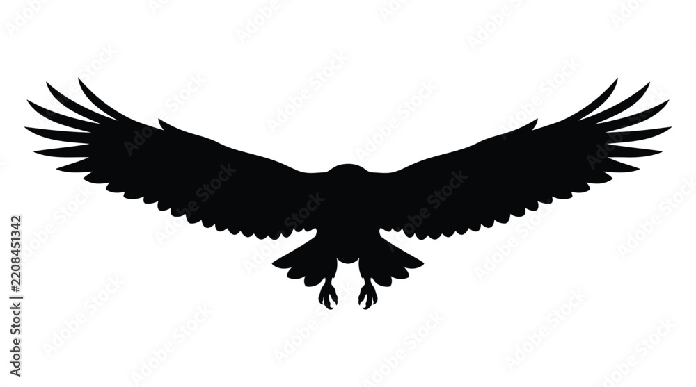 Obraz premium Eagle silhouette with wings spread a stark black shape on white