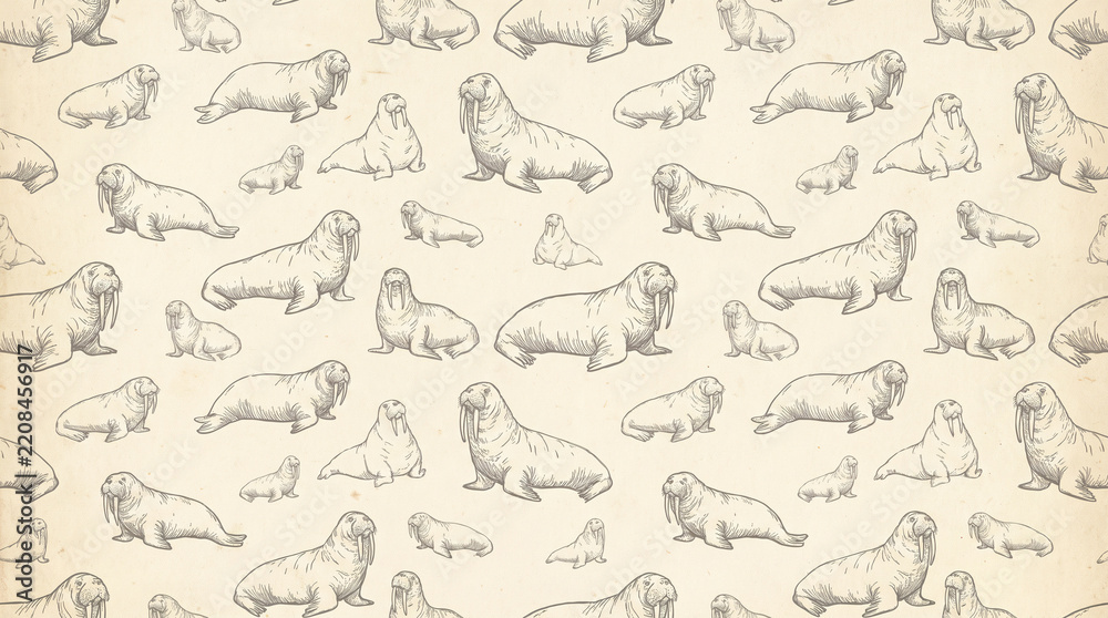 Fototapeta premium Vintage hand drawn walrus seamless pattern on beige background for christmas wrapping paper with copy space