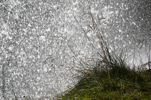 Gras hinter einem Wasserfall wachsend - grass growing behind a waterfall
