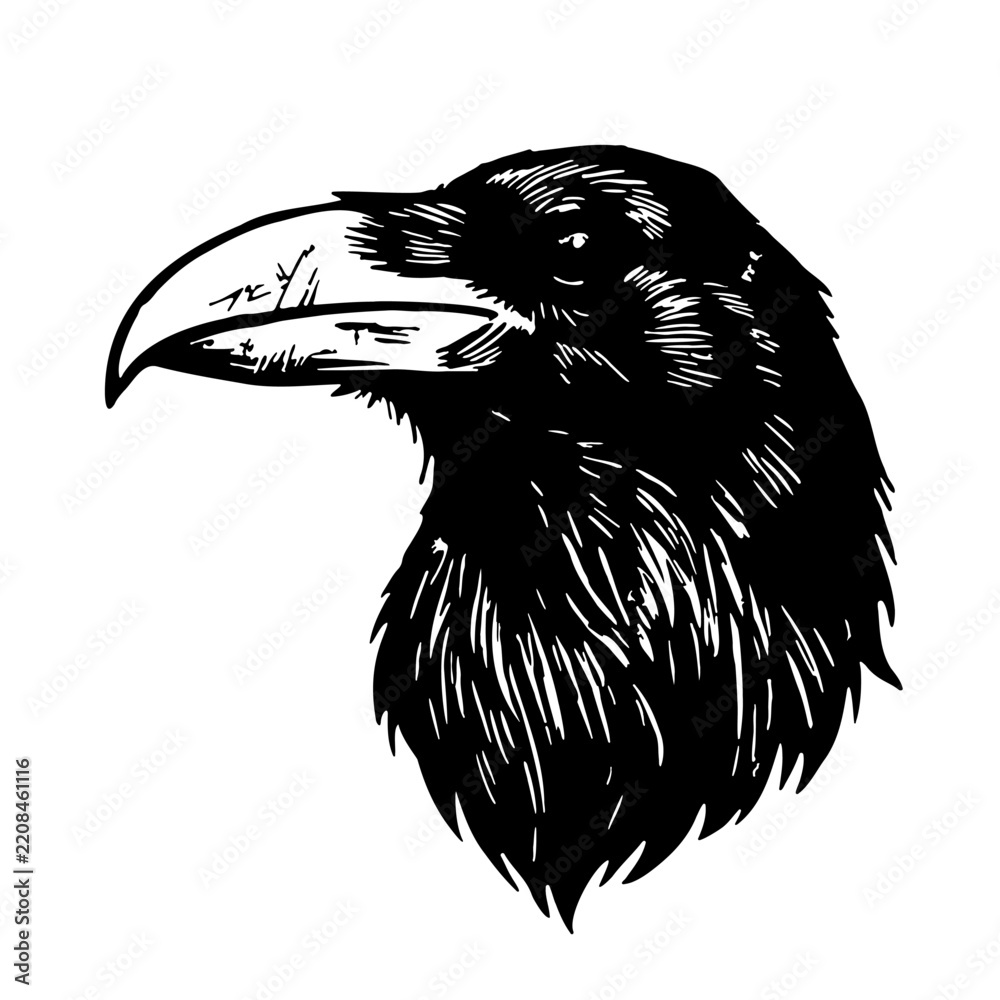 Obraz premium Black raven head profile portrait vector illustration