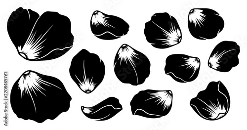 Scattered Flower Petal Black Silhouette Collection