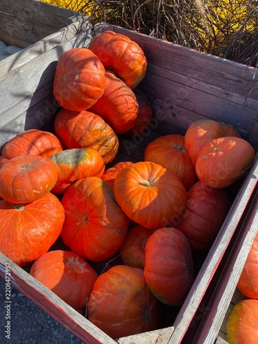 Automne au Québec