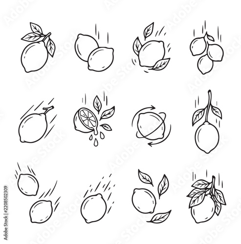 Fresh lemons with leaves falling during a simple illustration with clean lines