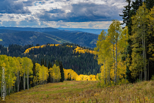 Autumn foliage In Steamboat Springs Colorado with aspen trees making a ring of fire
