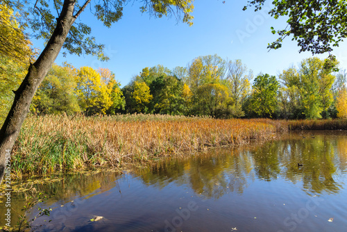 Amazing Autumn Landscape of South Park in city of Sofia, Bulgaria
