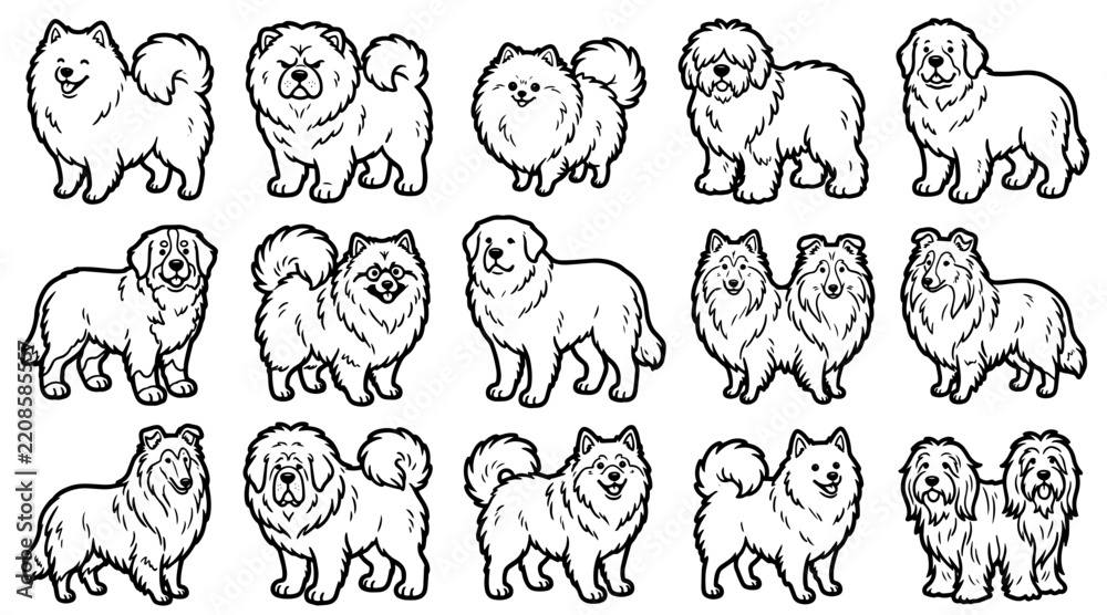 Obraz premium Set of fluffy dog breeds in line art style isolated on white background for veterinary design