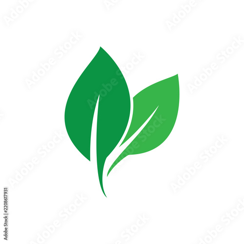 Minimalist Green Leaf
