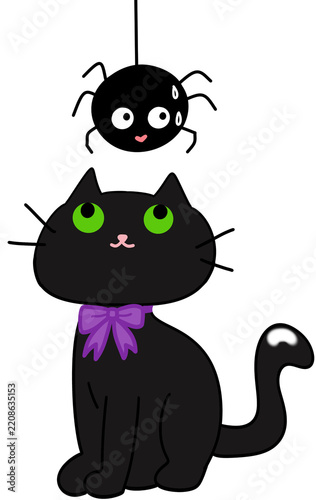 Cute Black Cat Looking at a Hanging Spider